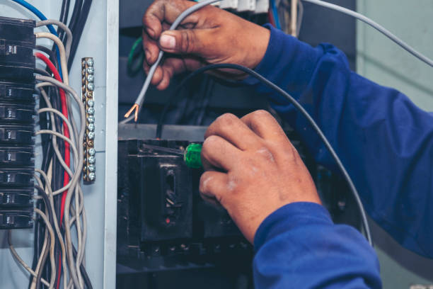 Best Electric Panel Repair  in , SD